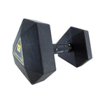 Hex Dumbbell 10kg