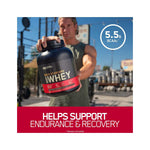 Optimum Nutrition Gold Standard 100% Whey Protein Powder