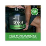 Optimum Nutrition Serious Mass Weight Gainer Protein Powder 6lb