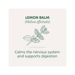 Traditional Medicinal Organic Lemon Balm Herbal Tea, 16 Tea Bags